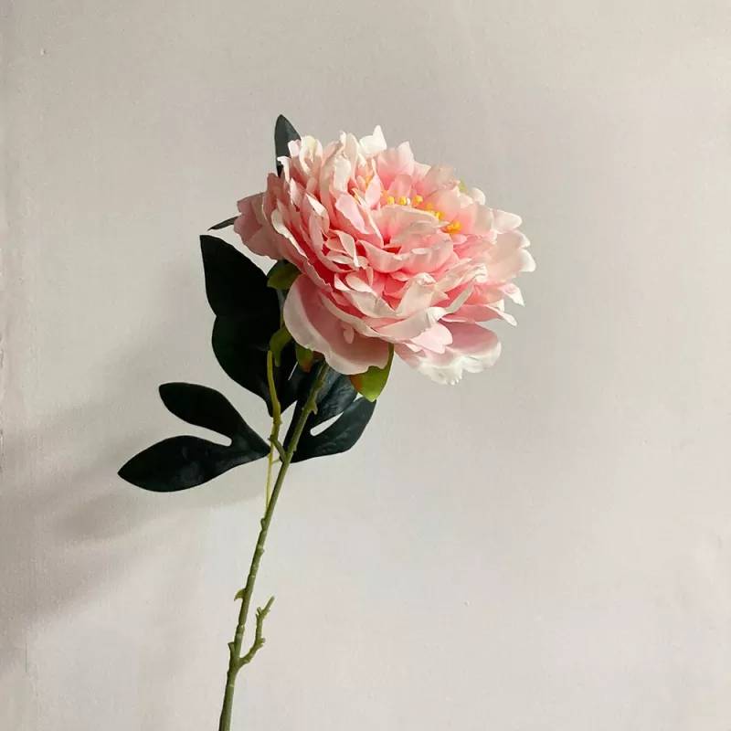 Lange Single STEM Fake Peony