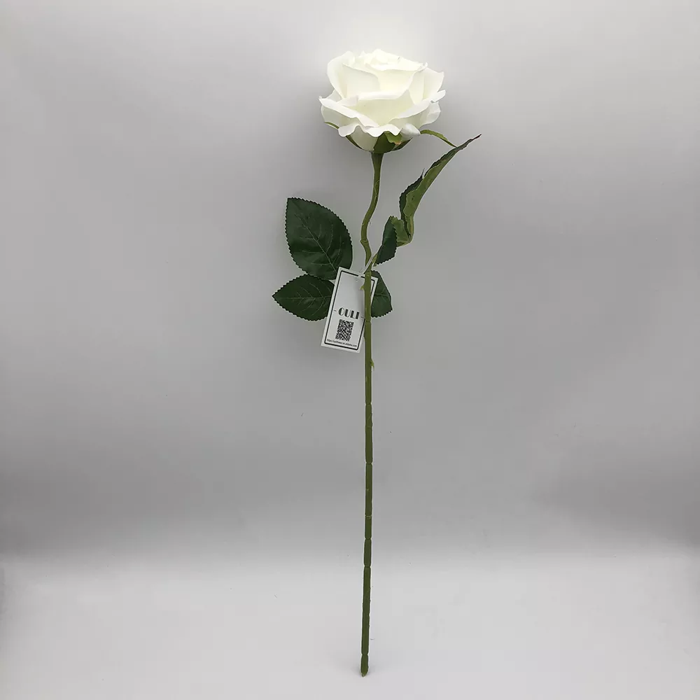 Lange Seidenrosenblume