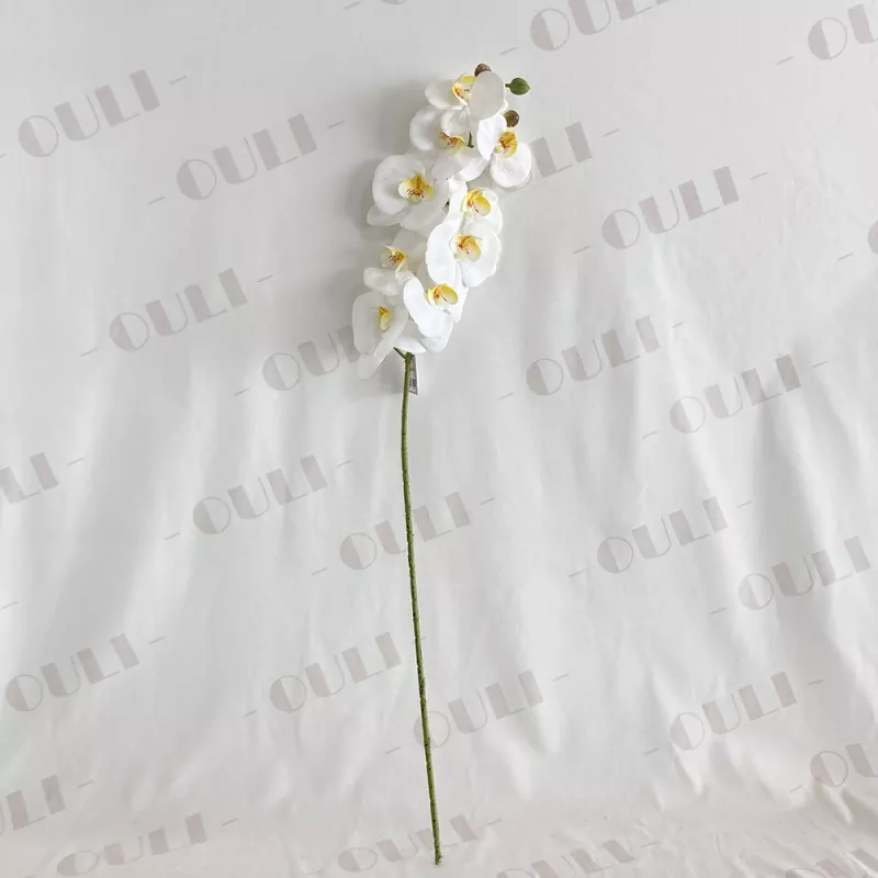 Echte Berührung falscher Orchidee