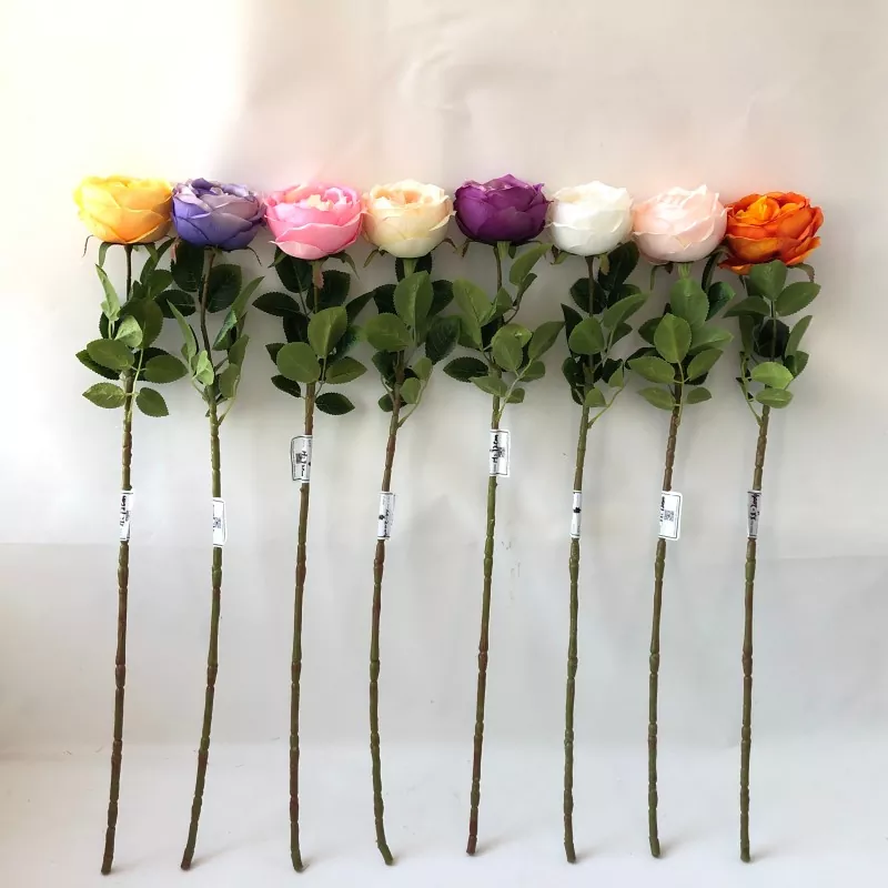 Weiße gefälschte Pfingstrotenblumen